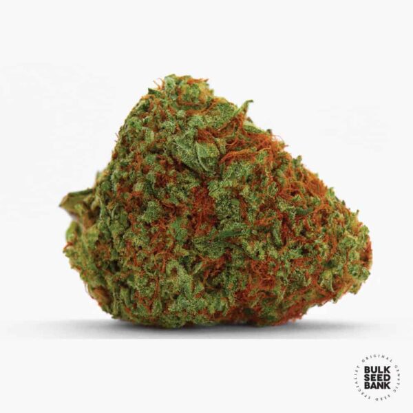 Orange Bud 1g